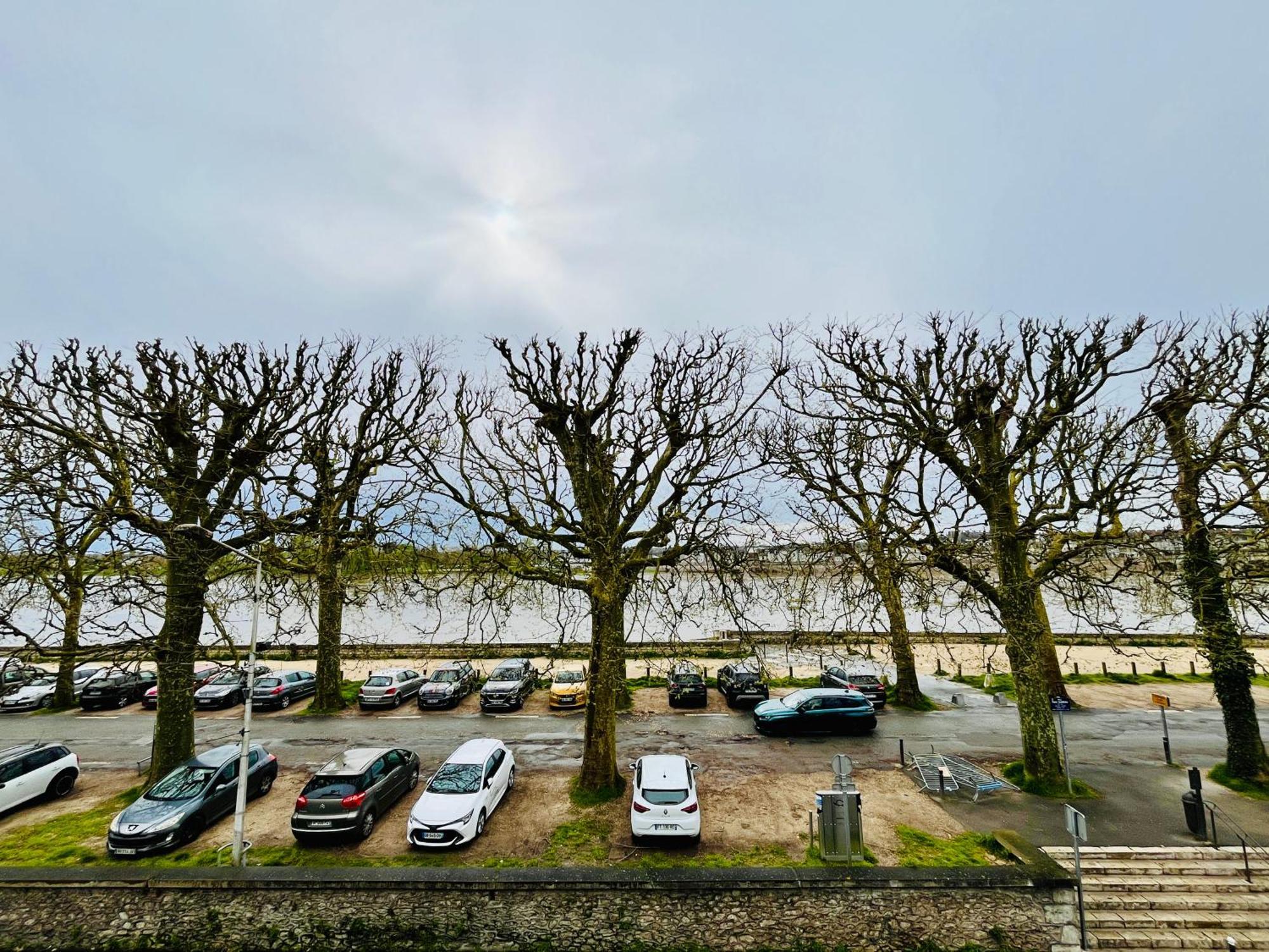 Hypercentre, Quai De Loire, Lumineux, Spacieux, Familial, Le Jehan De Saveuse Блоа Екстериор снимка